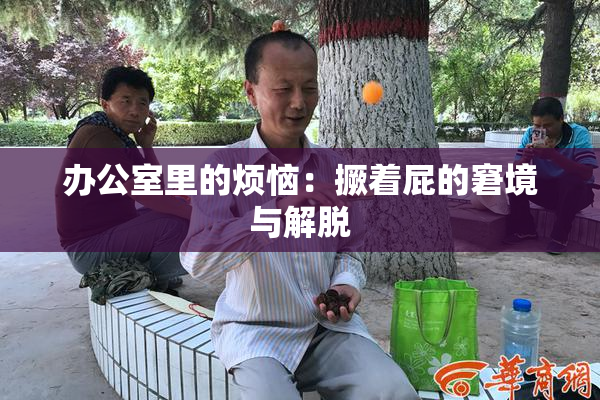 办公室里的烦恼：撅着屁的窘境与解脱