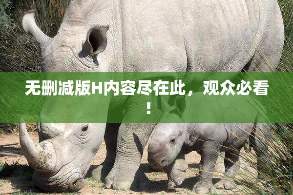 无删减版H内容尽在此，观众必看！