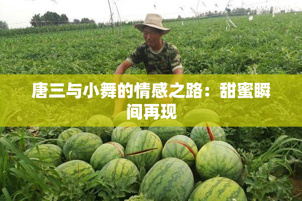 唐三与小舞的情感之路：甜蜜瞬间再现
