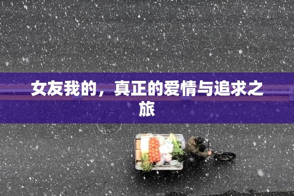 女友我的，真正的爱情与追求之旅