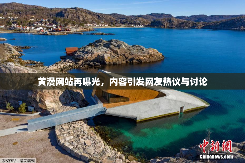 黄漫网站再曝光，内容引发网友热议与讨论