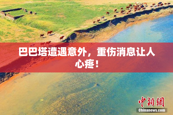 巴巴塔遭遇意外，重伤消息让人心疼！