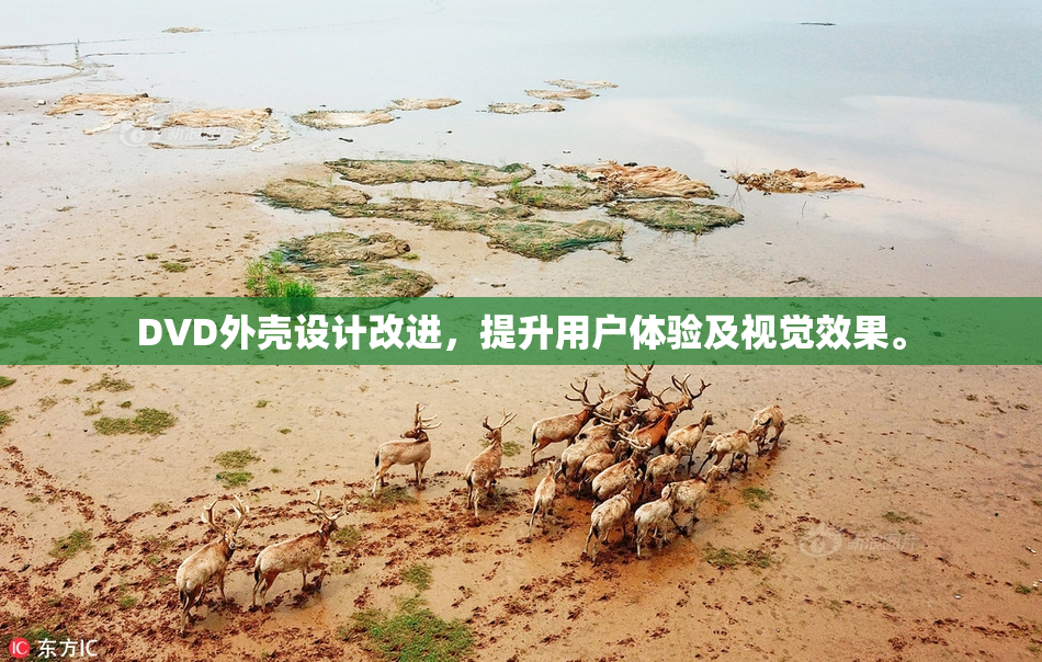 DVD外壳设计改进，提升用户体验及视觉效果。