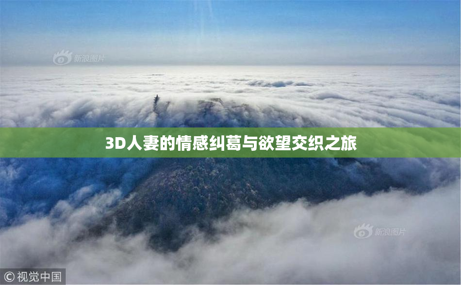 3D人妻的情感纠葛与欲望交织之旅