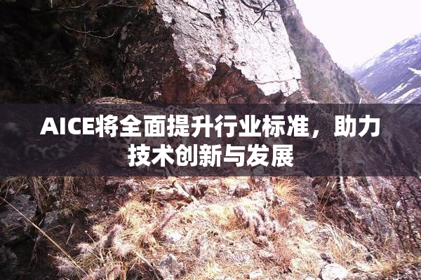 AICE将全面提升行业标准，助力技术创新与发展