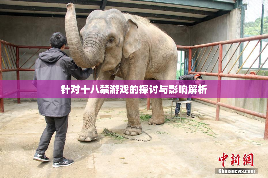 针对十八禁游戏的探讨与影响解析