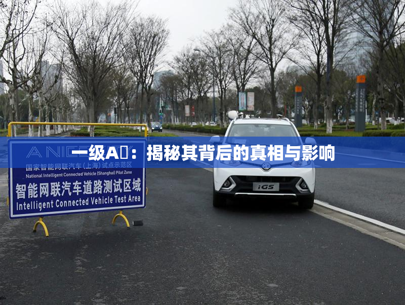 一级A婬：揭秘其背后的真相与影响