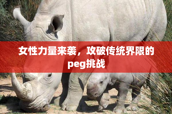 女性力量来袭，攻破传统界限的peg挑战