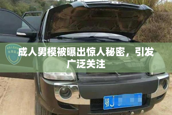 成人男模被曝出惊人秘密，引发广泛关注