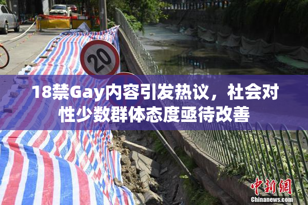 18禁Gay内容引发热议，社会对性少数群体态度亟待改善