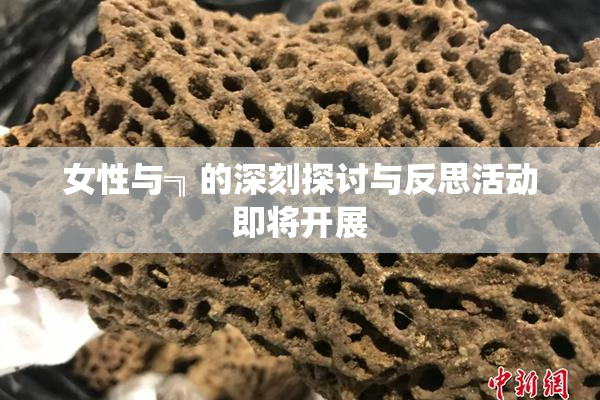 女性与╗的深刻探讨与反思活动即将开展
