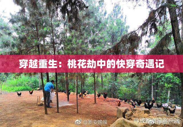 穿越重生：桃花劫中的快穿奇遇记