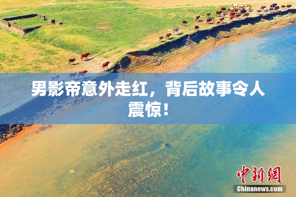 男影帝意外走红，背后故事令人震惊！