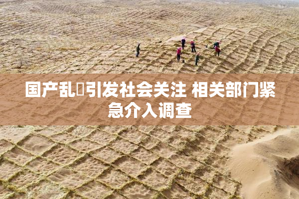 国产乱婬引发社会关注 相关部门紧急介入调查