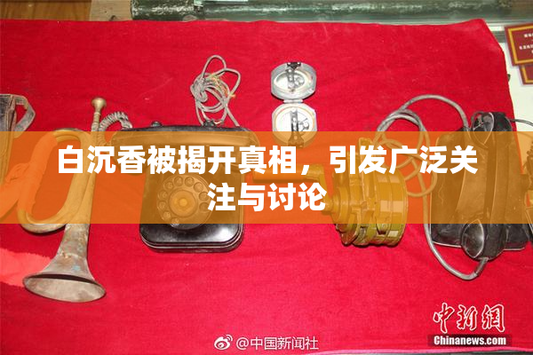 白沉香被揭开真相，引发广泛关注与讨论