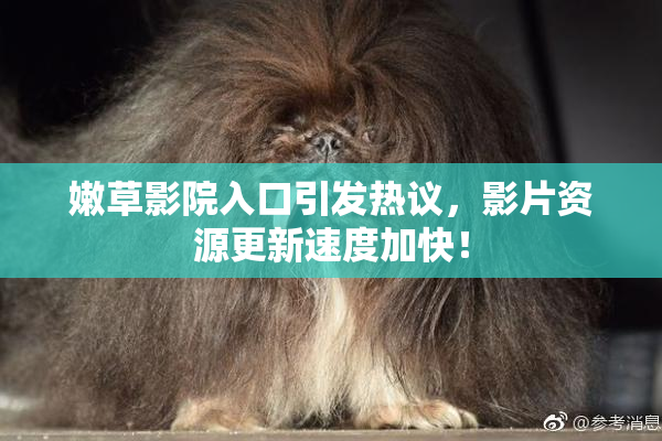 嫩草影院入口引发热议，影片资源更新速度加快！