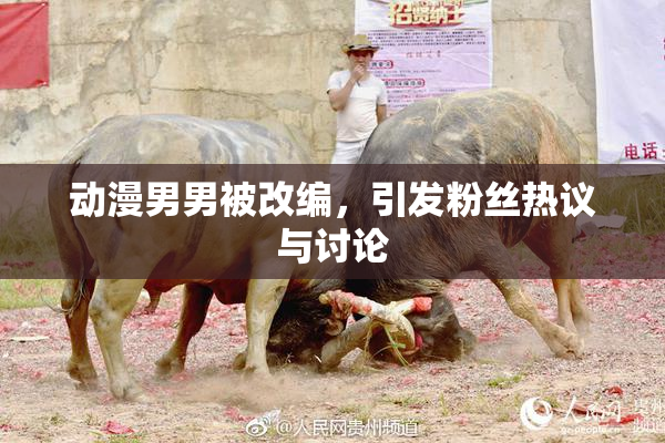 动漫男男被改编，引发粉丝热议与讨论