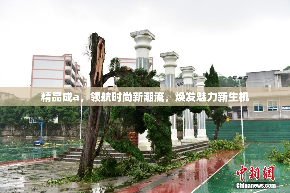 精品成a，领航时尚新潮流，焕发魅力新生机