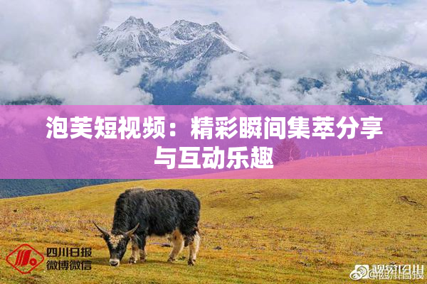 泡芙短视频：精彩瞬间集萃分享与互动乐趣