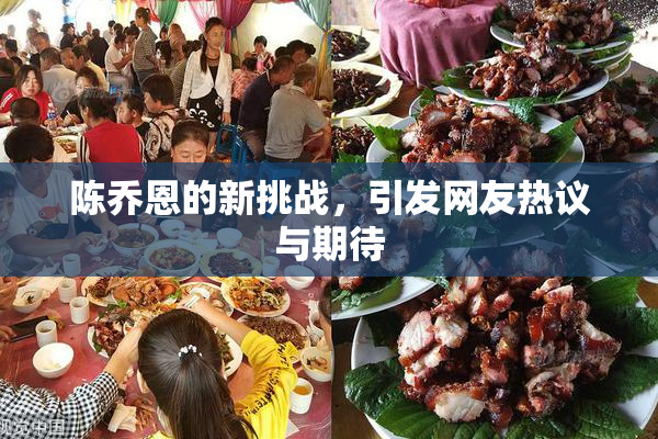 陈乔恩的新挑战，引发网友热议与期待