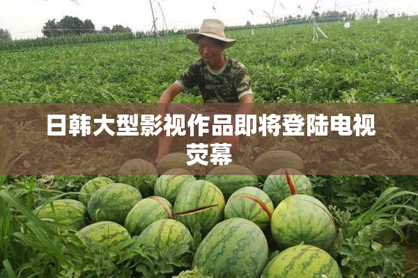 日韩大型影视作品即将登陆电视荧幕