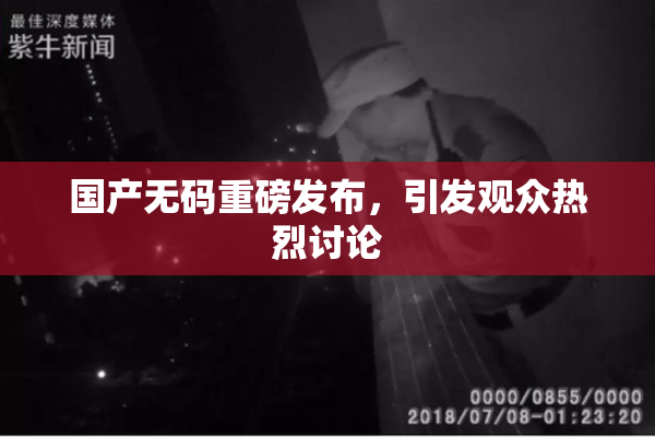 国产无码重磅发布，引发观众热烈讨论