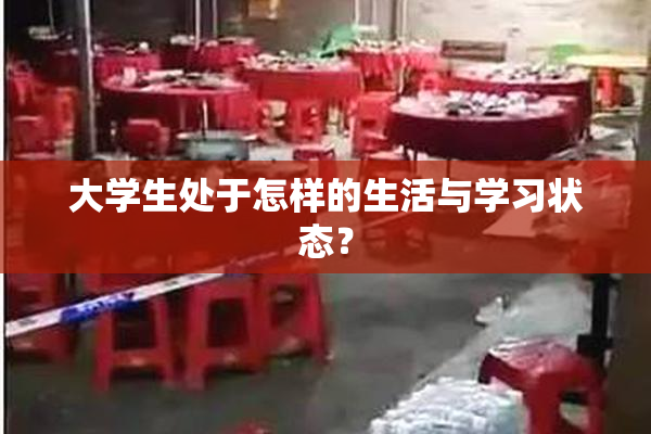 大学生处于怎样的生活与学习状态？