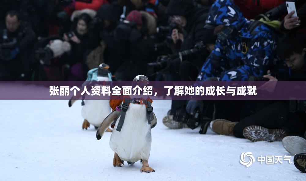 张丽个人资料全面介绍，了解她的成长与成就