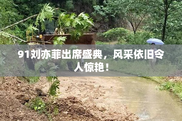91刘亦菲出席盛典，风采依旧令人惊艳！