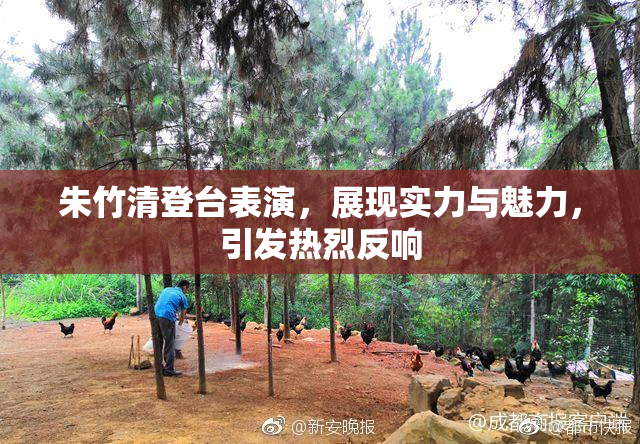 朱竹清登台表演，展现实力与魅力，引发热烈反响