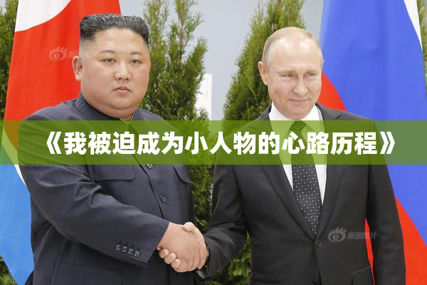 《我被迫成为小人物的心路历程》