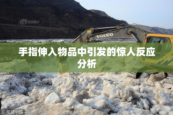 手指伸入物品中引发的惊人反应分析