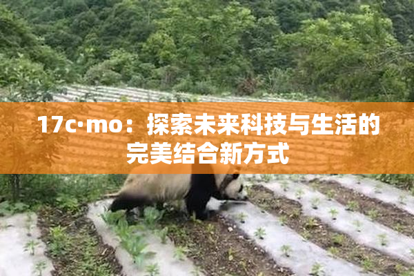 17c·mo：探索未来科技与生活的完美结合新方式