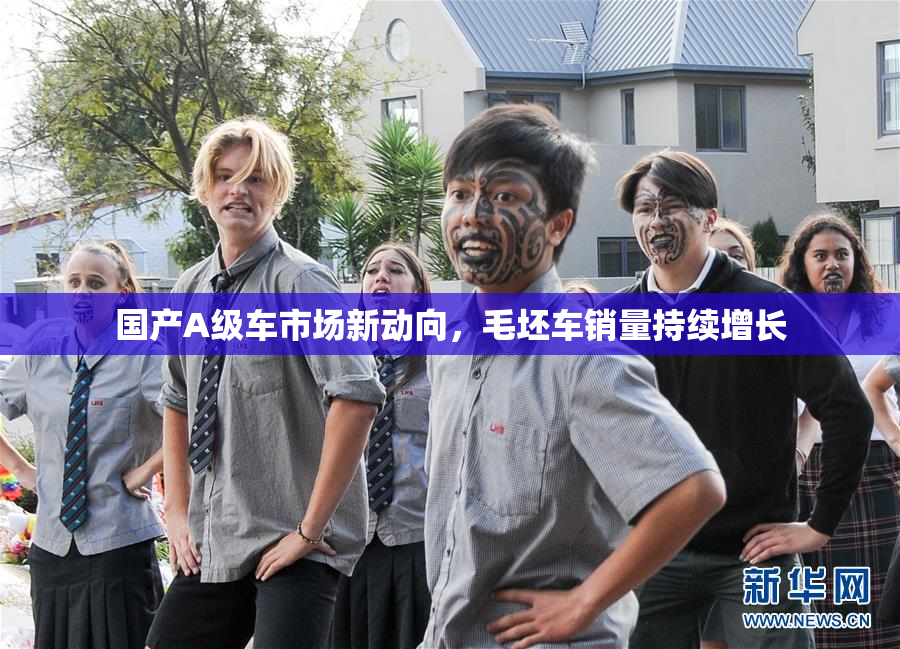 国产A级车市场新动向，毛坯车销量持续增长