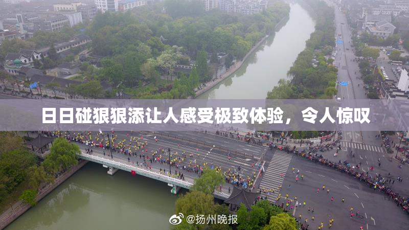日日碰狠狠添让人感受极致体验，令人惊叹