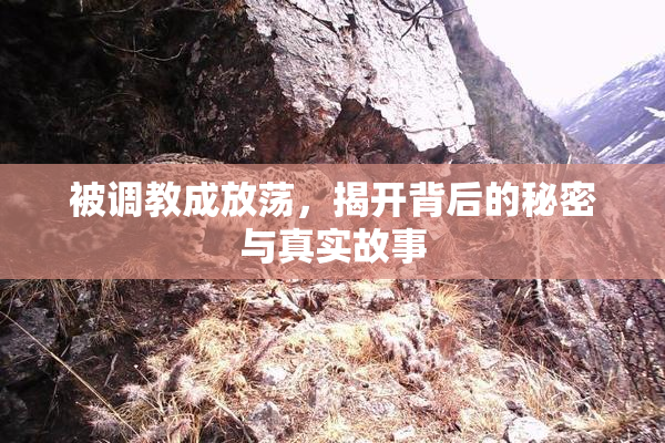 被调教成放荡，揭开背后的秘密与真实故事