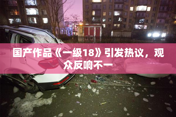 国产作品《一级18》引发热议，观众反响不一