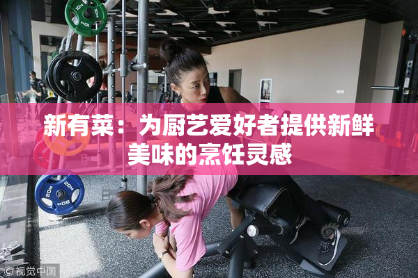 新有菜：为厨艺爱好者提供新鲜美味的烹饪灵感
