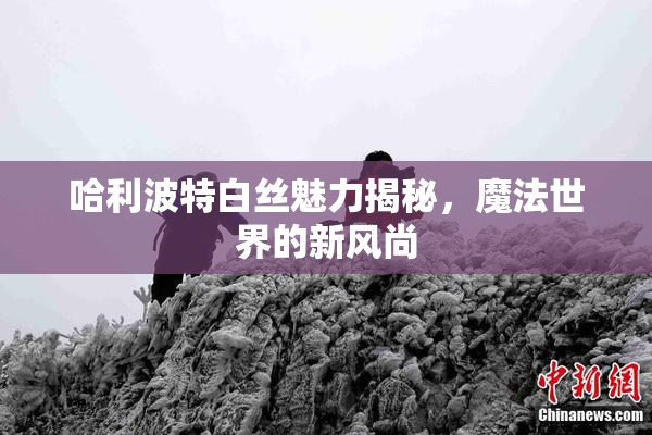 哈利波特白丝魅力揭秘，魔法世界的新风尚
