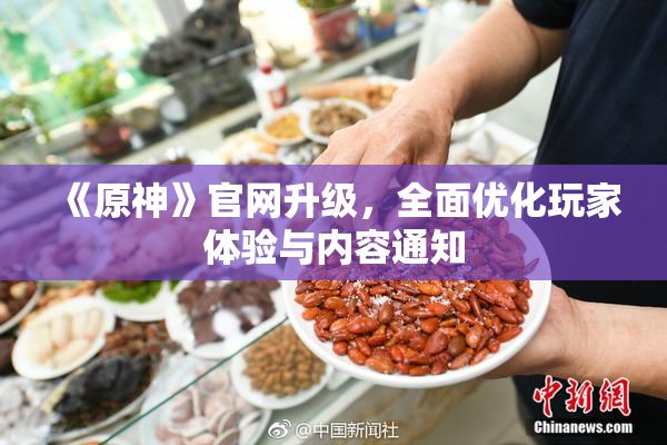 《原神》官网升级，全面优化玩家体验与内容通知