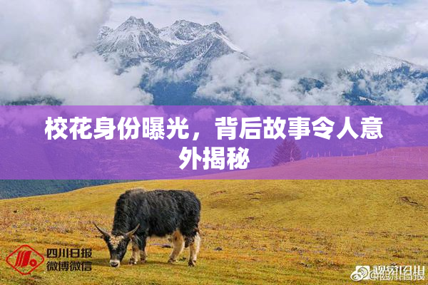 校花身份曝光，背后故事令人意外揭秘