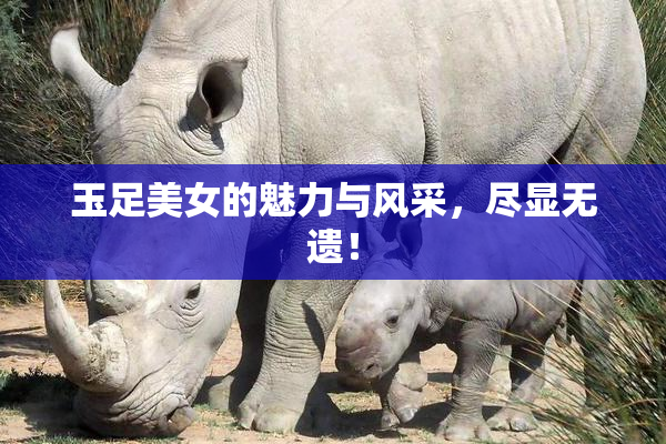 玉足美女的魅力与风采，尽显无遗！