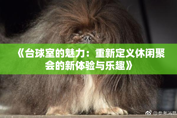 《台球室的魅力：重新定义休闲聚会的新体验与乐趣》
