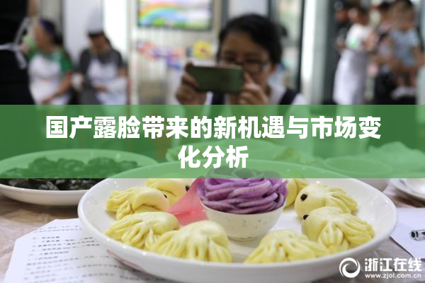 国产露脸带来的新机遇与市场变化分析