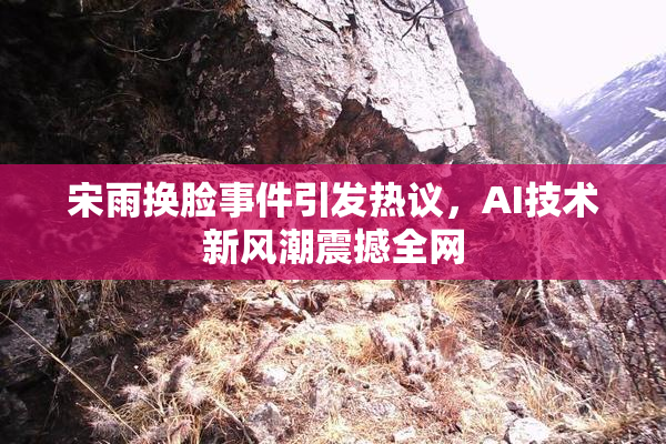 宋雨换脸事件引发热议，AI技术新风潮震撼全网