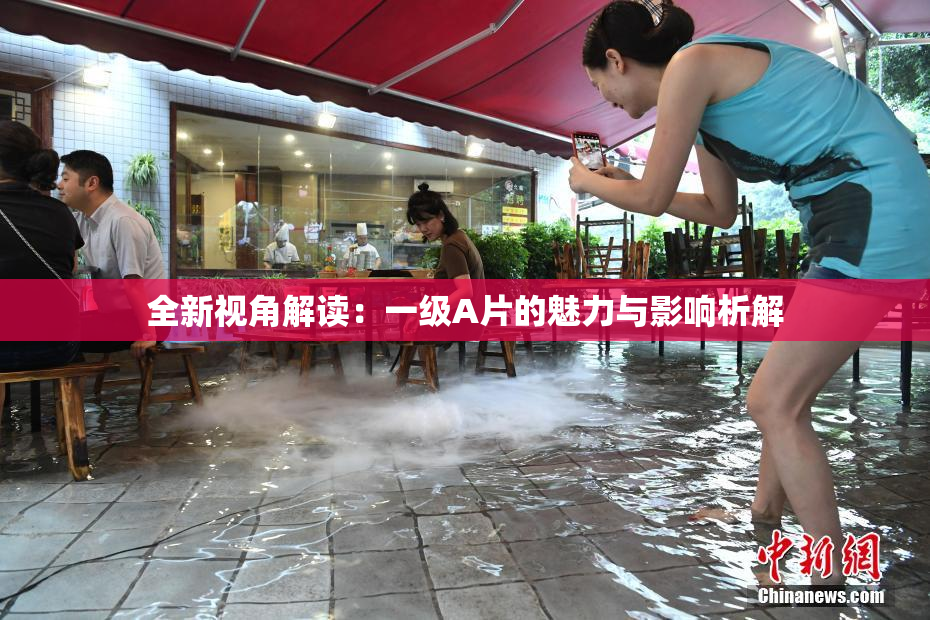 全新视角解读：一级A片的魅力与影响析解