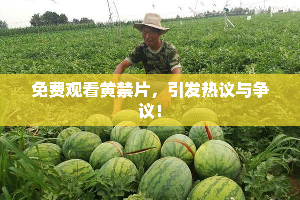 免费观看黄禁片，引发热议与争议！