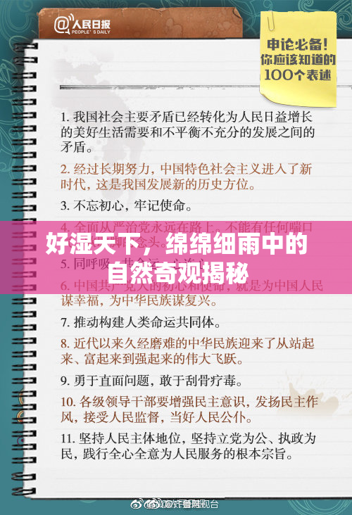 好湿天下，绵绵细雨中的自然奇观揭秘