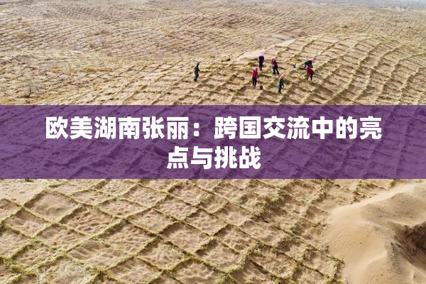 欧美湖南张丽：跨国交流中的亮点与挑战