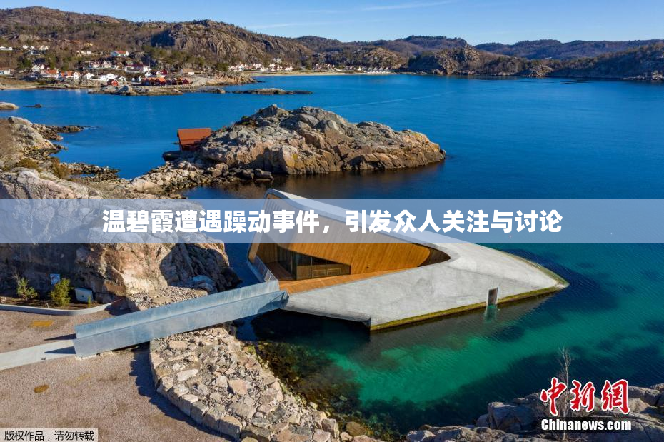 温碧霞遭遇躁动事件，引发众人关注与讨论